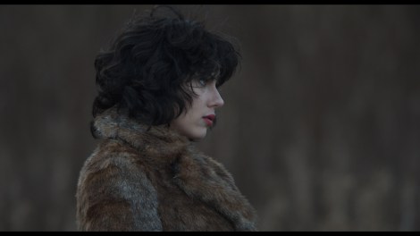 Scarlett Johansson gets, well, under the skin.