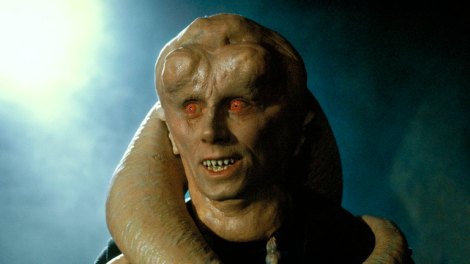 bib fortuna